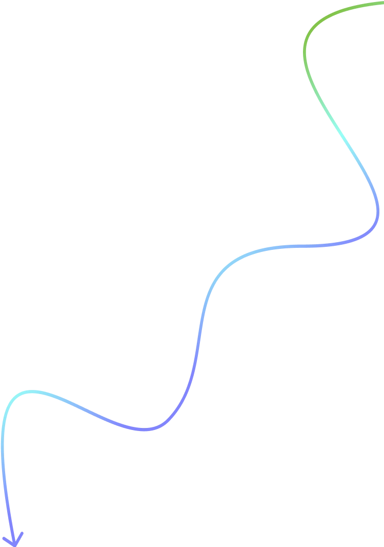 Experience Divider Image